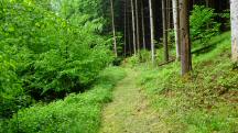  Blick auf die Wanderstrecke 